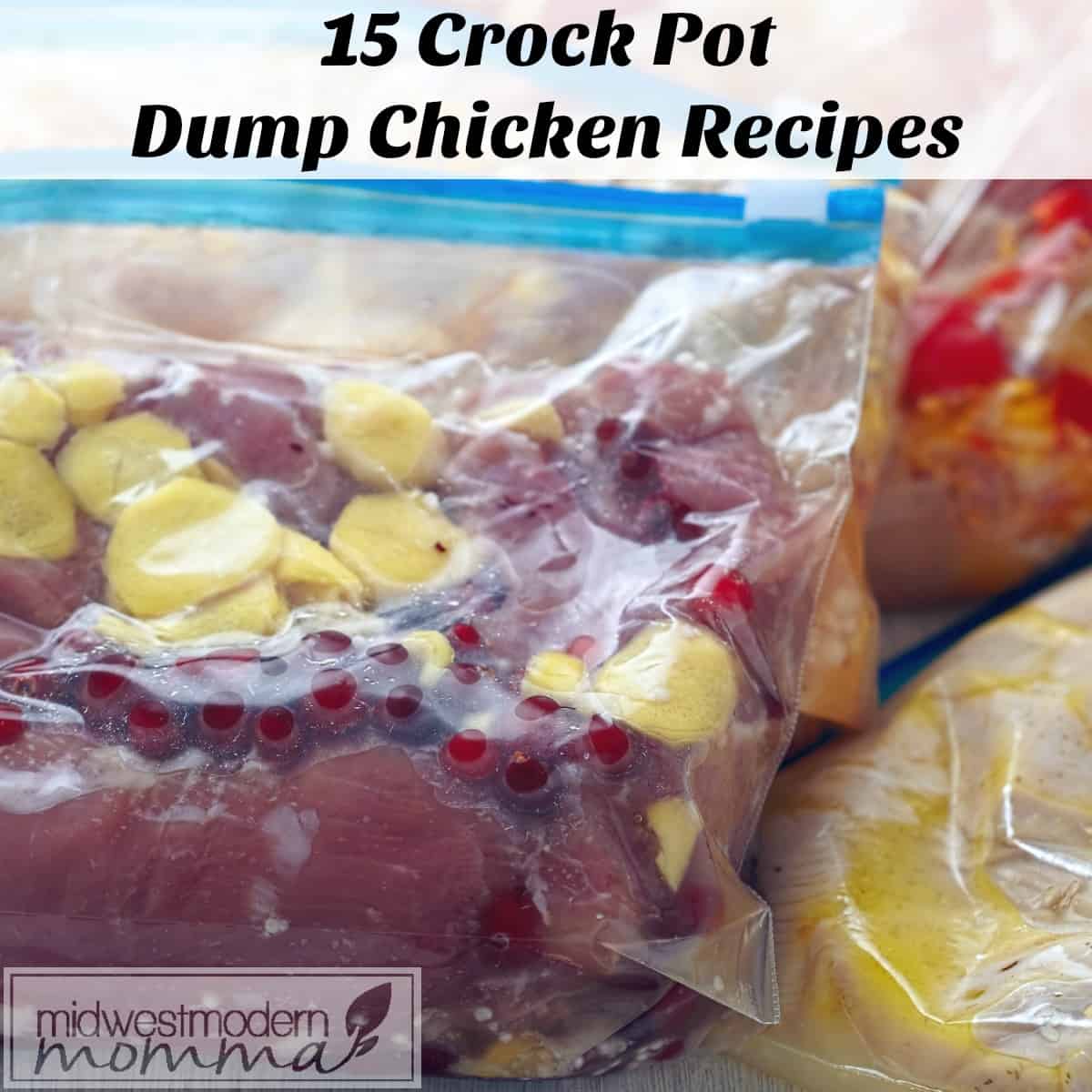 15 slow cooker dump chicken recipes