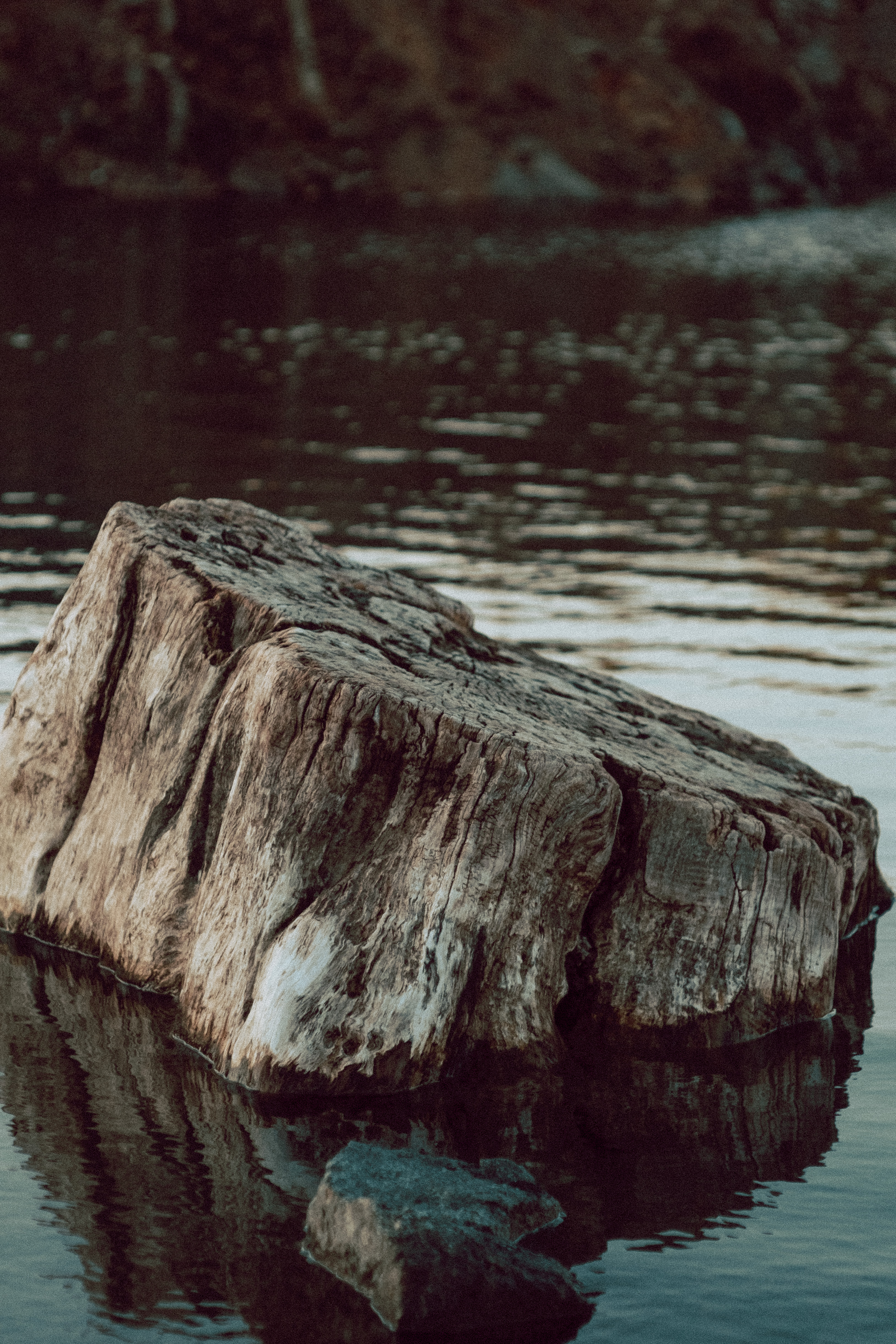 A Tree Stump at The Cuts