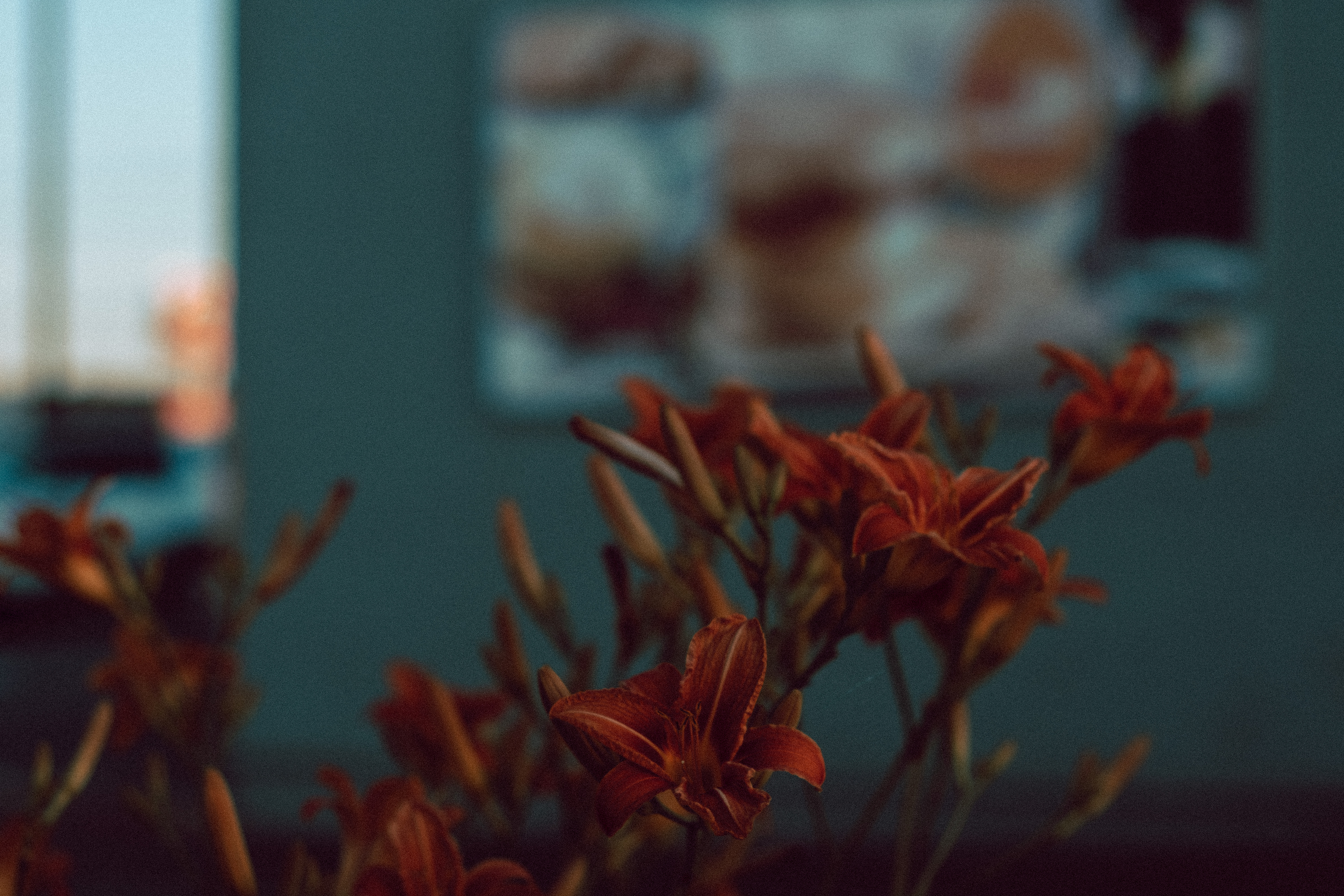 Urban Flowers Closeup