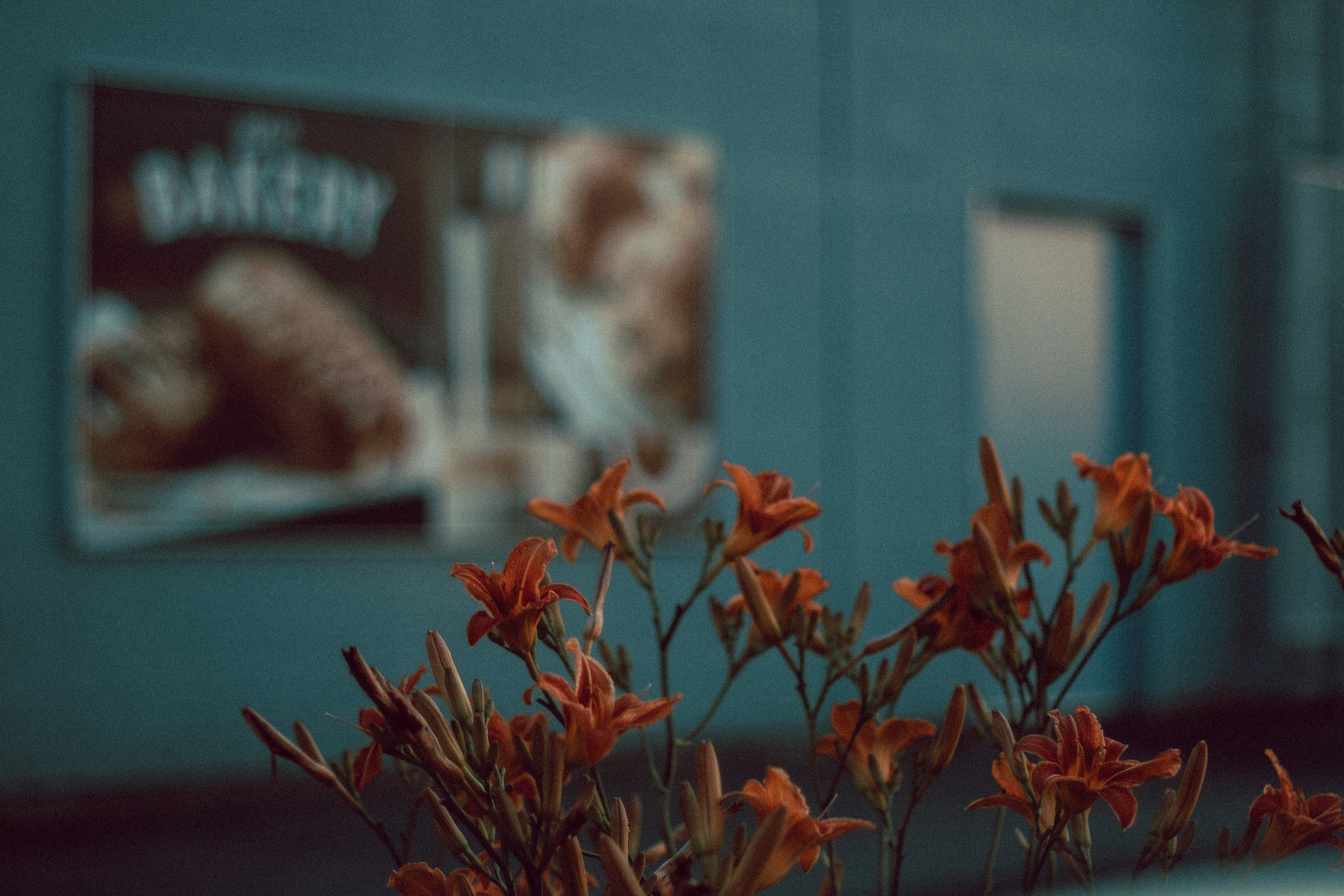 Urban Flowers