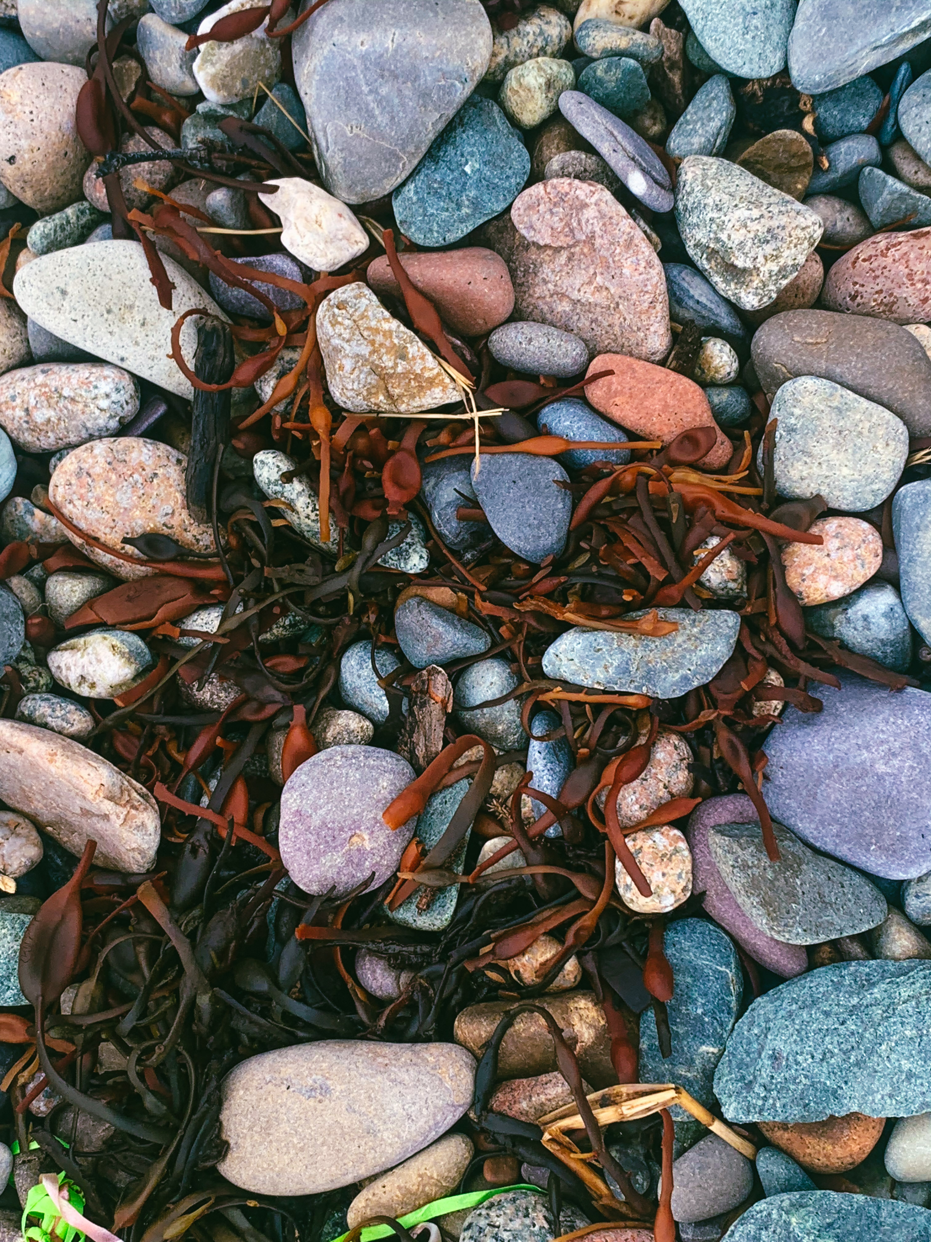 Beach-Rocks-2