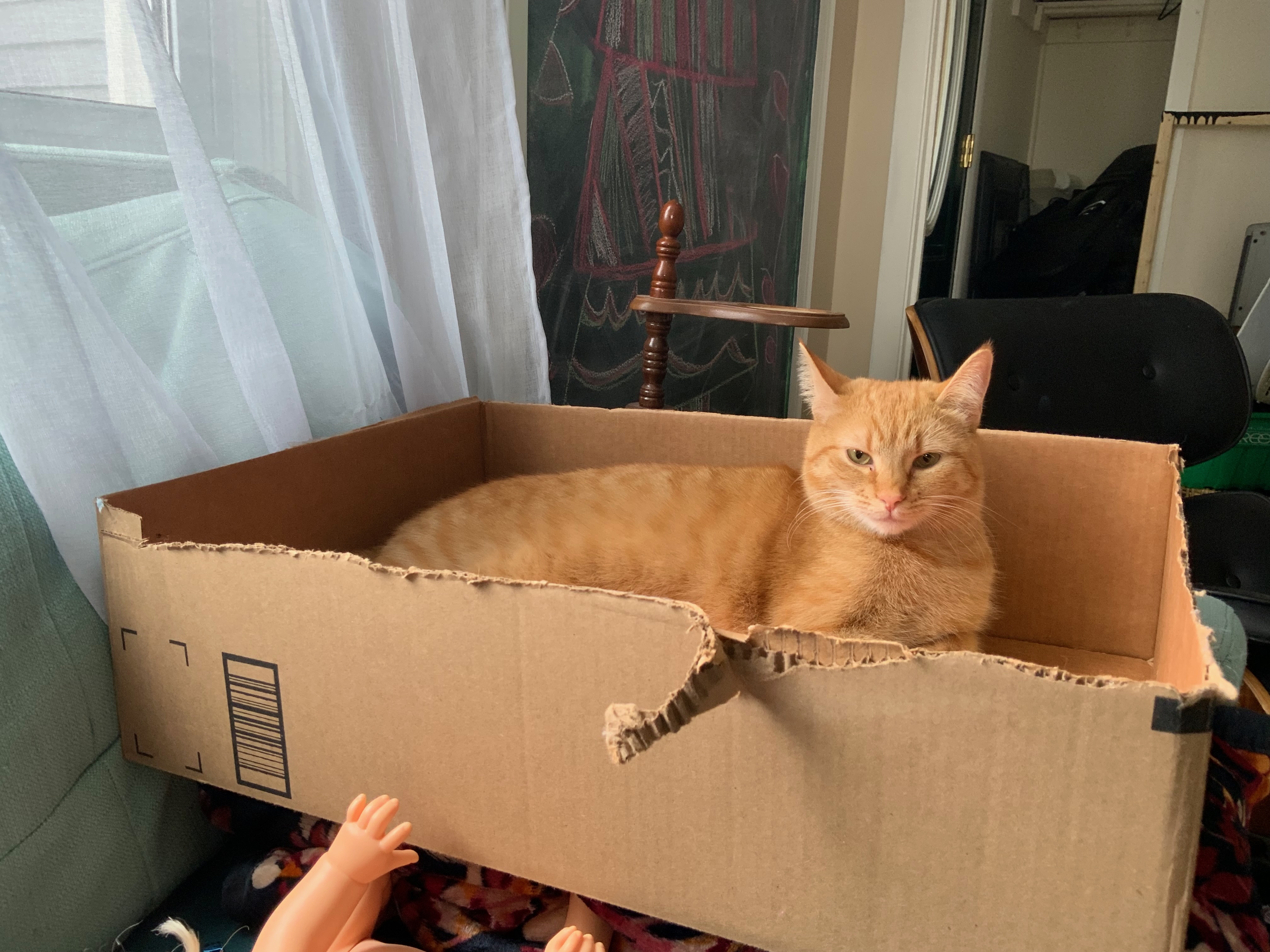 Lilliane Verner A Ginger Cat Pose 3