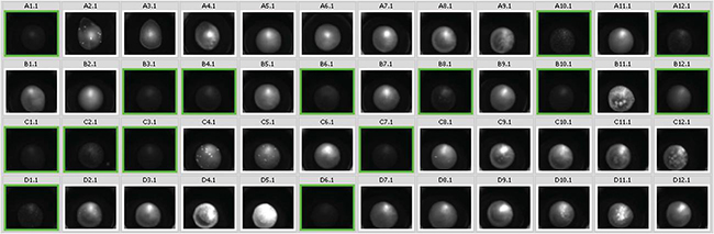 Uv imaging of crystallisation experiments
