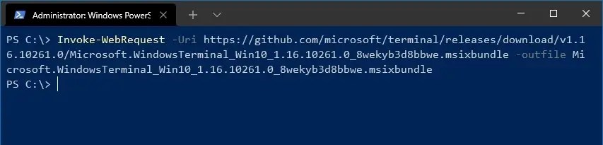 How To Install Terminal In Windows Server 2019 Issue 12222 - Premium Geometric Art Gallery - Retina