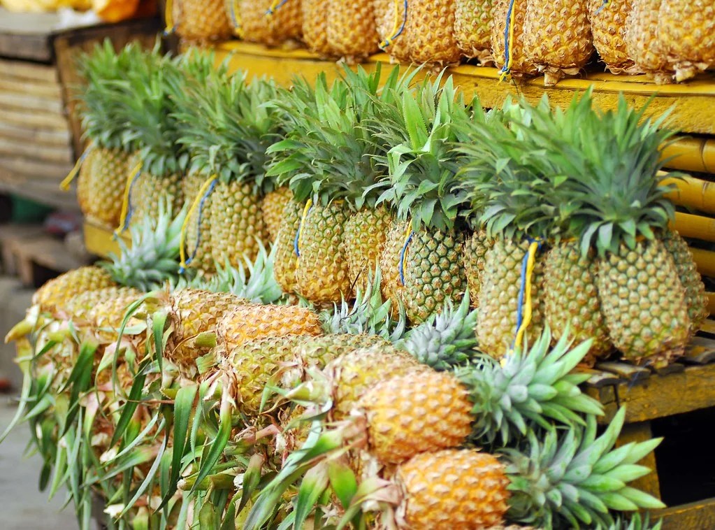 Quadro Ormoc Ormoc S Food Night Market Shellwanders - Modern High Resolution Ocean Photos | Free Download