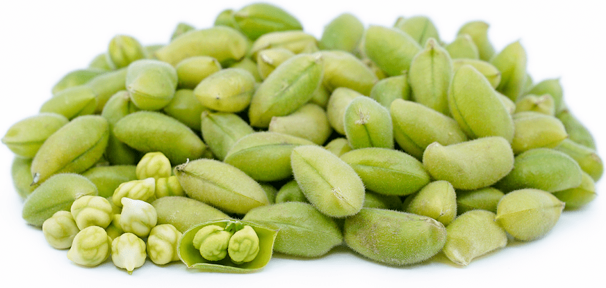 photo Where To Buy Fresh Chickpeas specialty produce