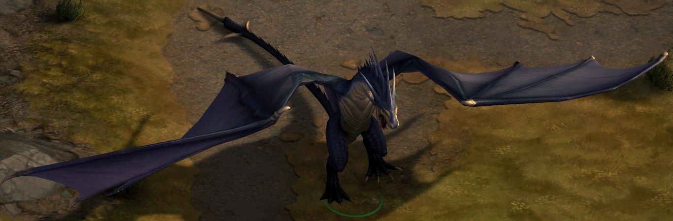 Pathfinder kingmaker dragon style