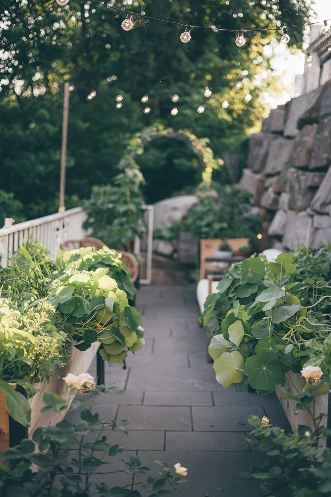 pic Raised Bed Flower Garden Design Ideas the well essentials