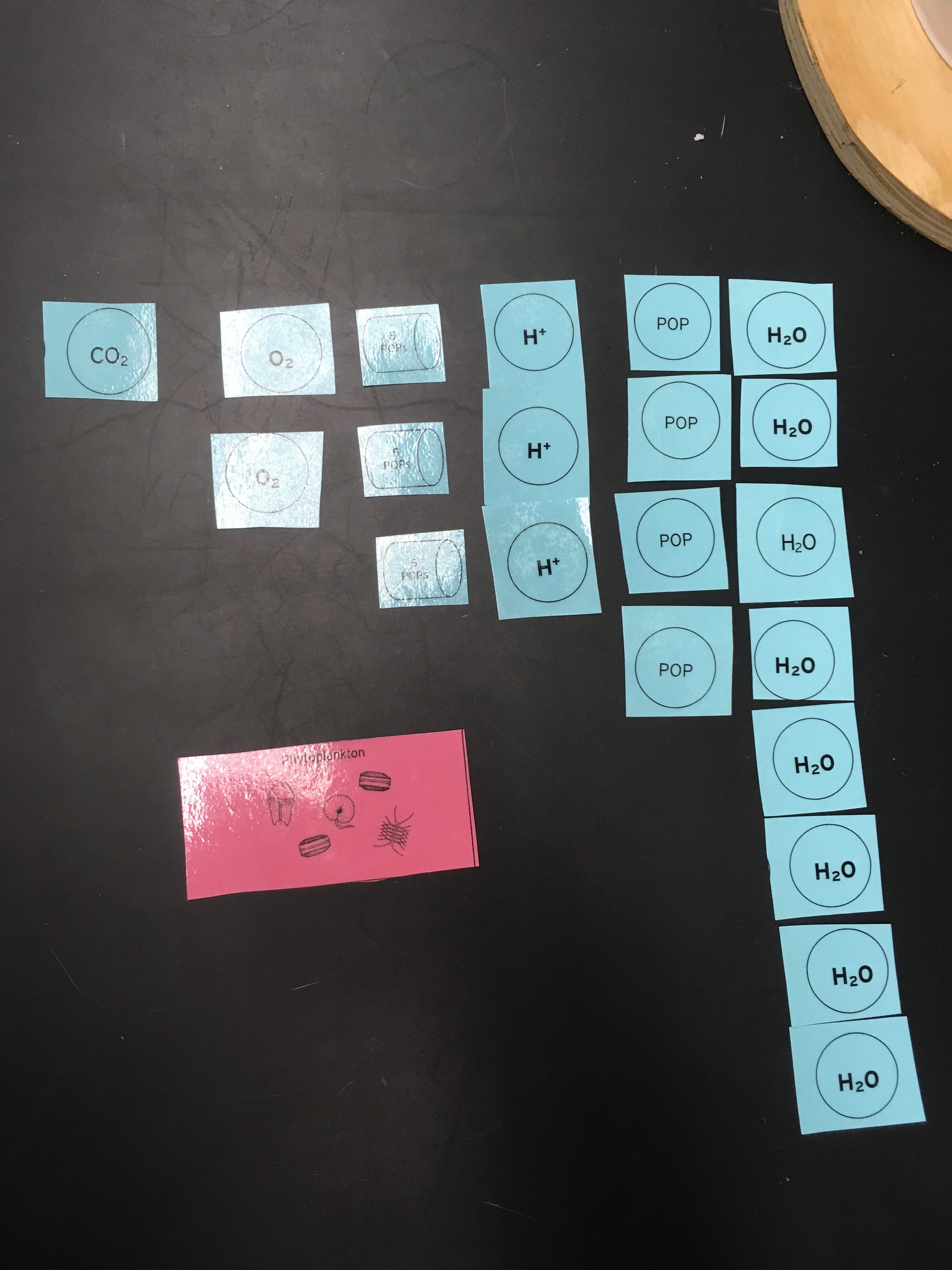 10 Scientific Concepts Learned From Ecocolumns Teaching Ap Science - Abstract Illustration Collection - Full HD Quality