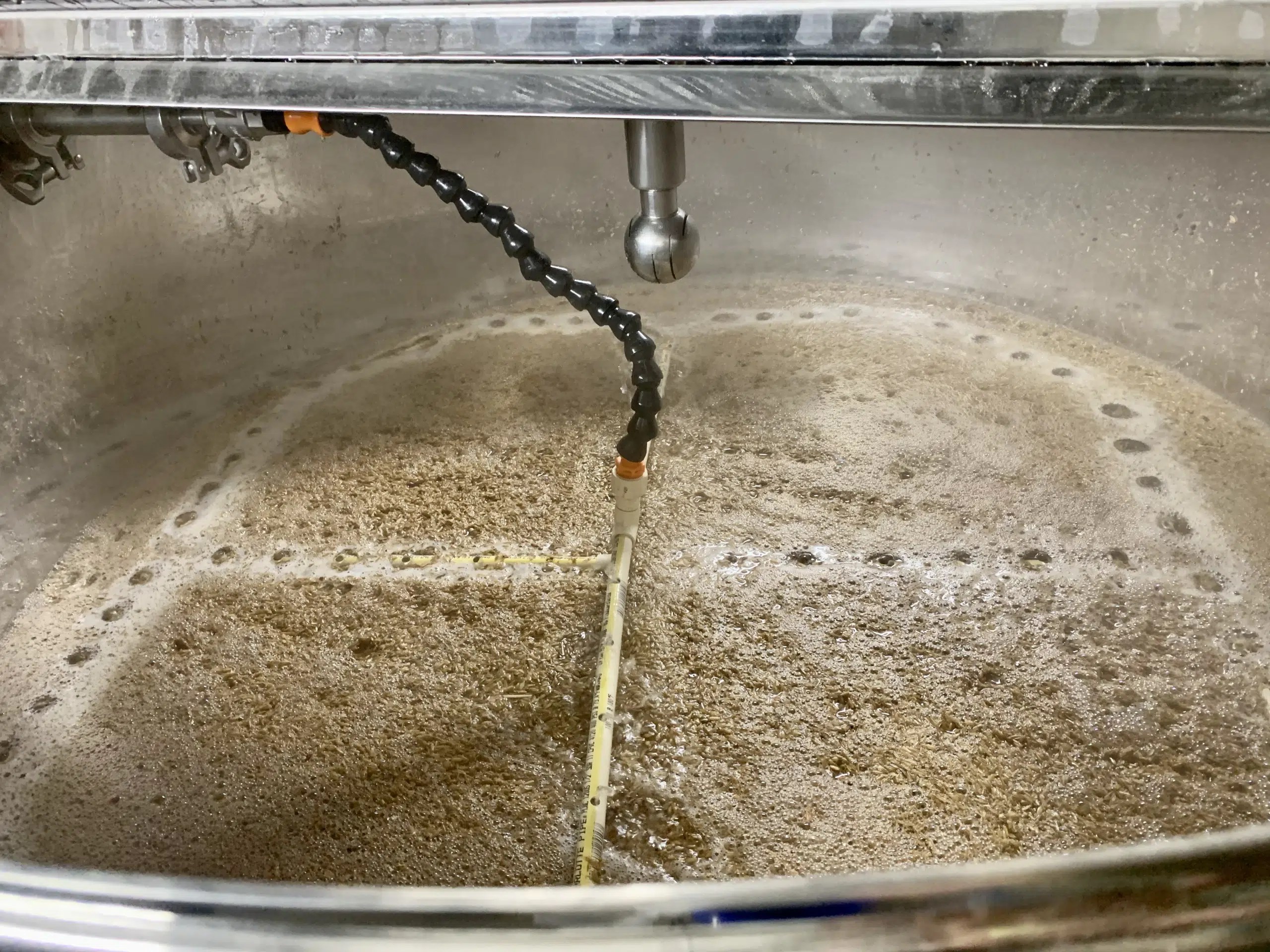 Ale - Artistic Nature Illustration - High Resolution