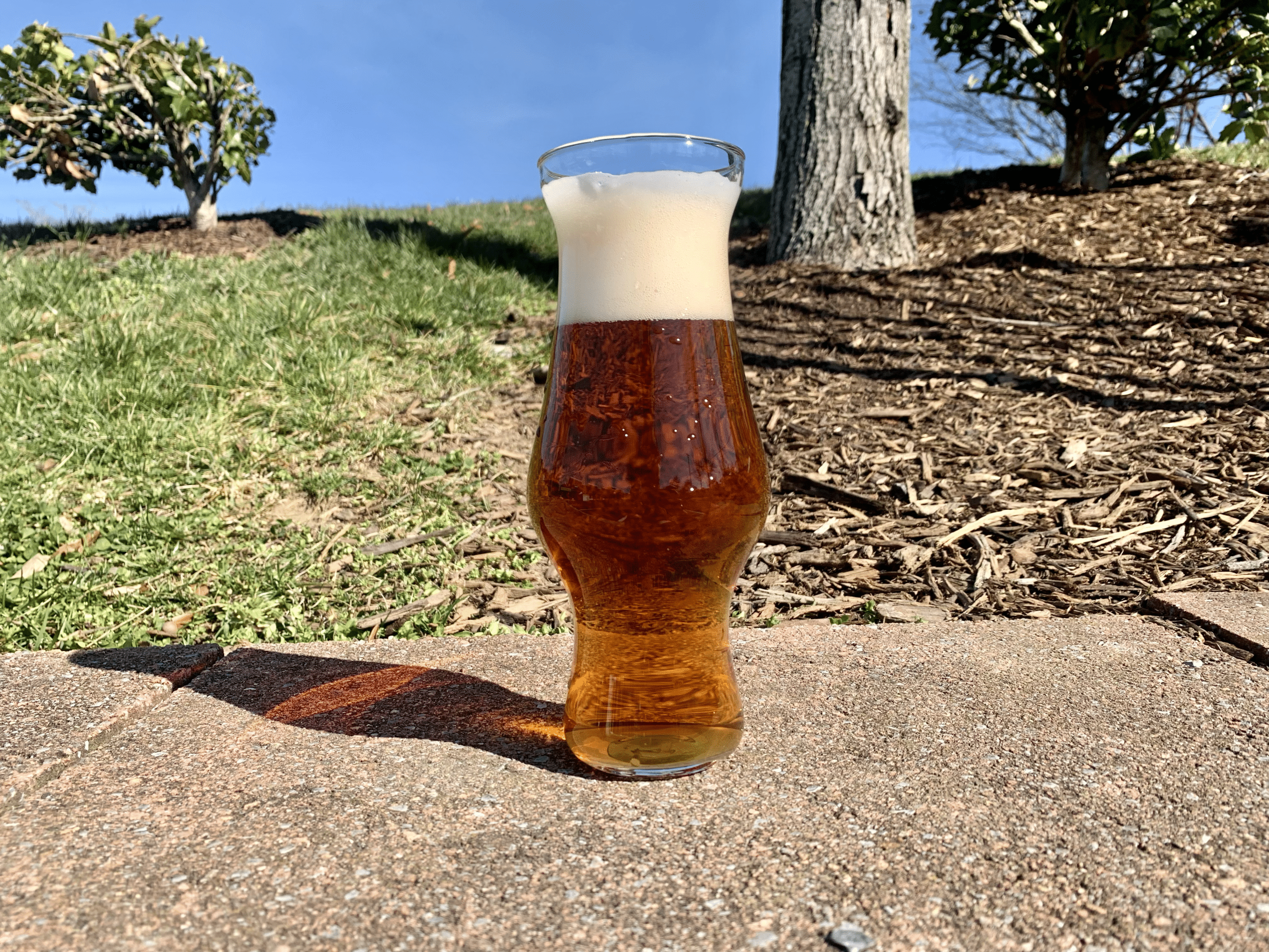 The Ultimate Pale Ale Beer Guide - Download Gorgeous City Art | High Resolution