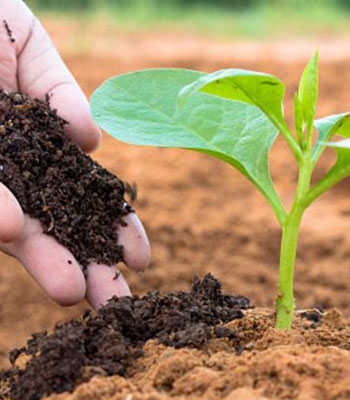 picture Nourish Foods Tech Pvt Ltd Dharwad thenourishinc com