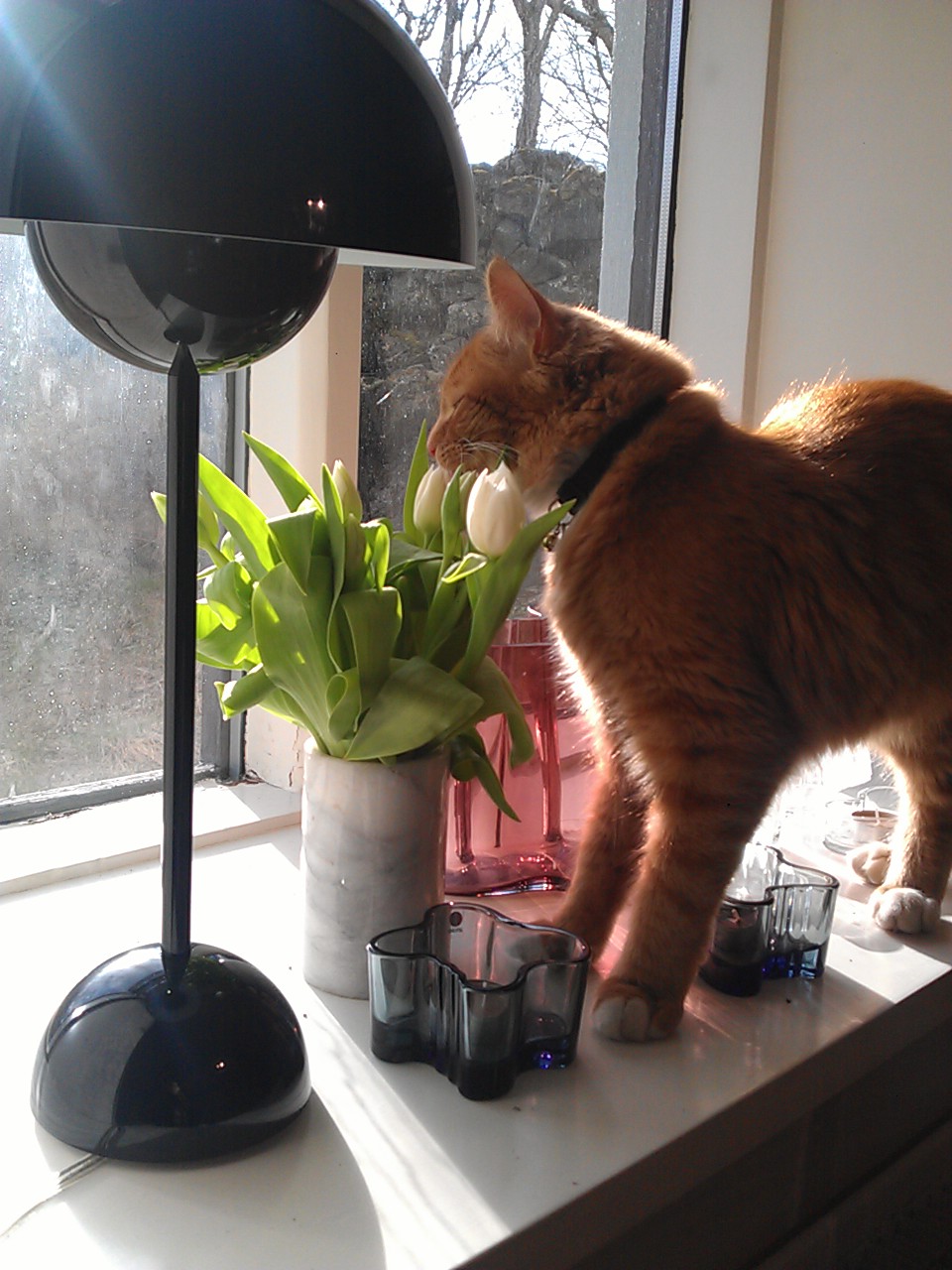 wallpapers Flowerpot Lampi trendnet