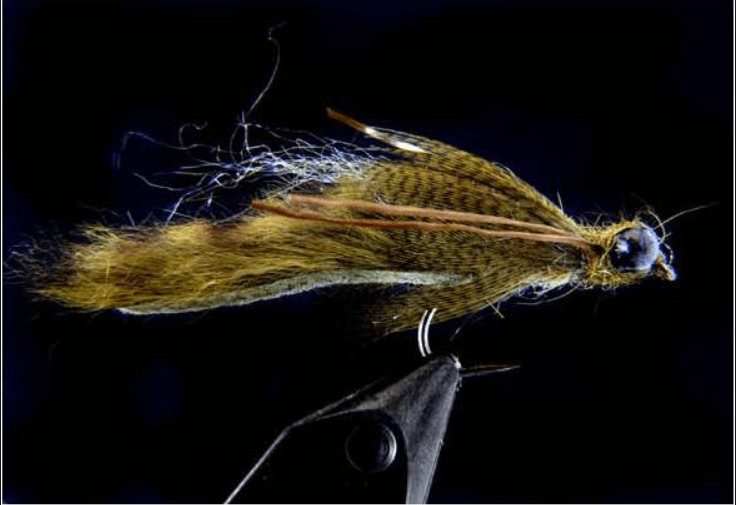 wallpapers Dragonfly Nymph Fly jan korrubel truttablog