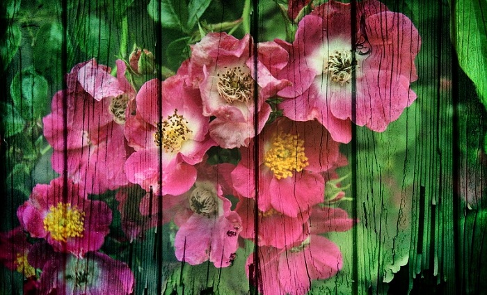 рисуем на даче