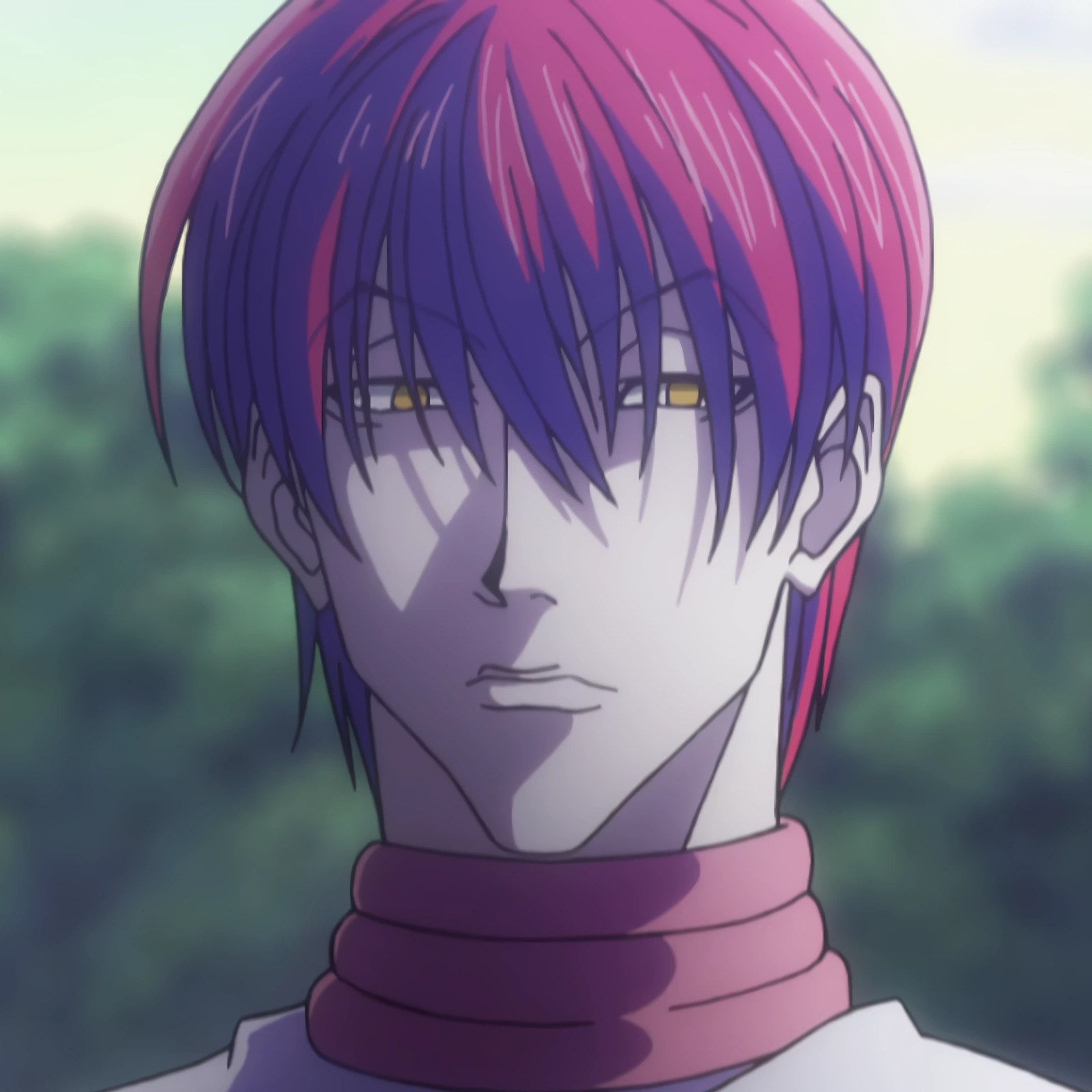 images Hisoka Hair Down 2011 reddit