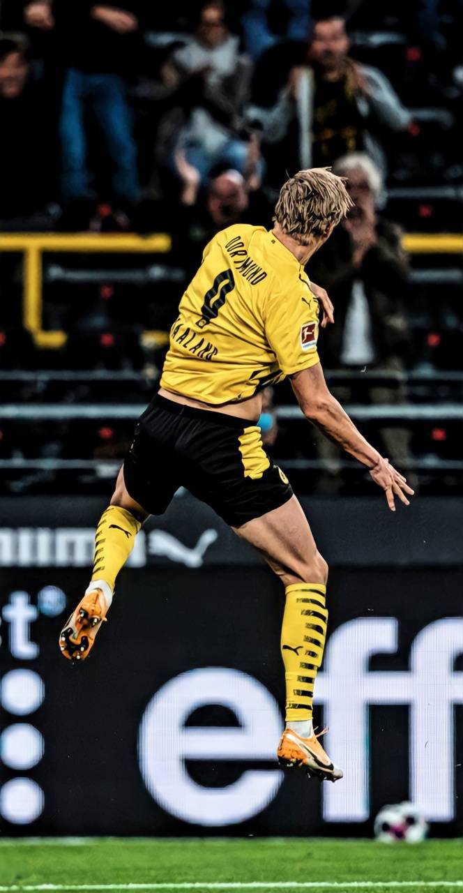 haaland wallpaper 4k 2021 / erling haaland 2021 wallpapers on erling haaland 2021 wallpapers