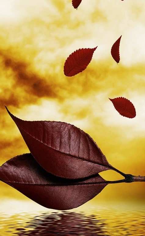 photo Best Most Beautiful Wallpaper For Phone wonderful engineering