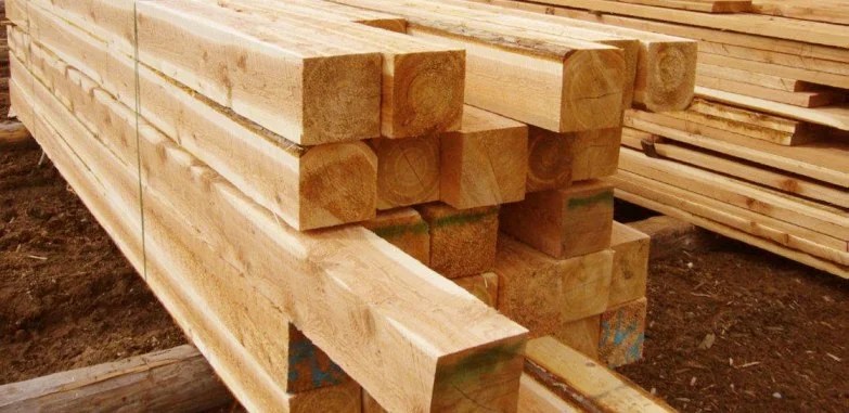 Bahas lengkap kayu lunak atau softwood