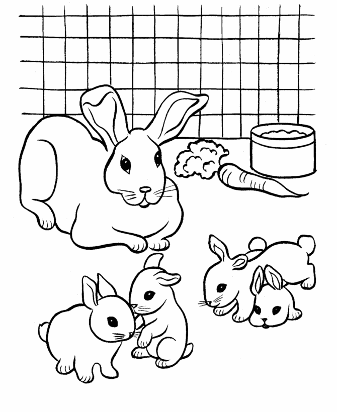 pix Bunny Coloring Pages Realistic rabbit coloring pages the y guide