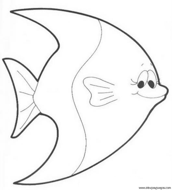 wallpapers Peces Para Dibujar Con Sus Nombres peces para colorear con su nombres imagui