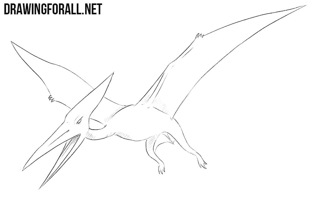 photo Cartoon Pterodactyl Drawing Easy how to draw a pterodactylus