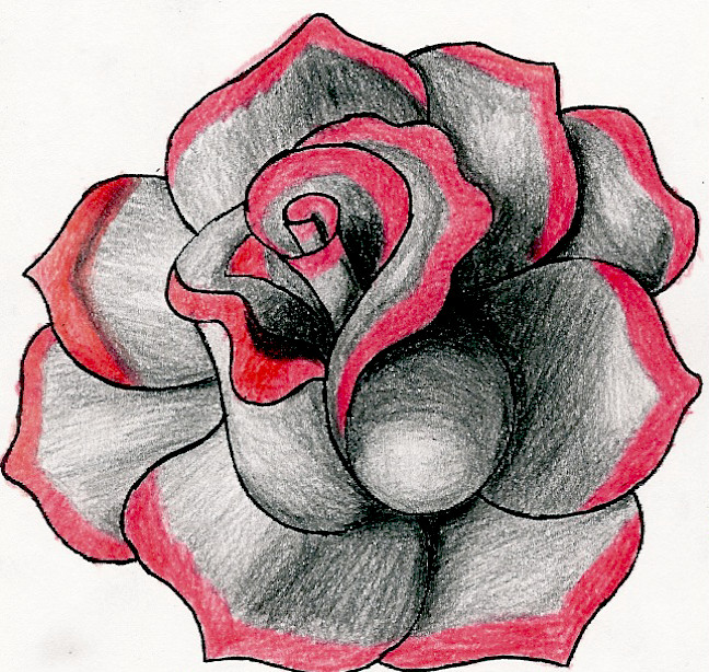 picture Simple Red Rose Drawing Easy drawer pro