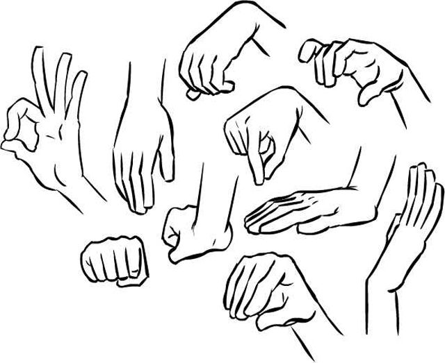 photo Hand Reference Photos For Drawing drawing skill