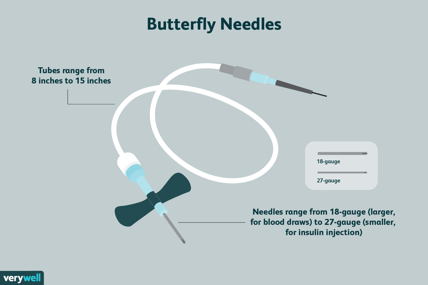 Blood Draw Explained Butterfly Needle Method - Minimal Background Collection - 8K Quality