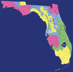 Florida Sinkhole Regions And Where They Are A Threat Region Map FL 