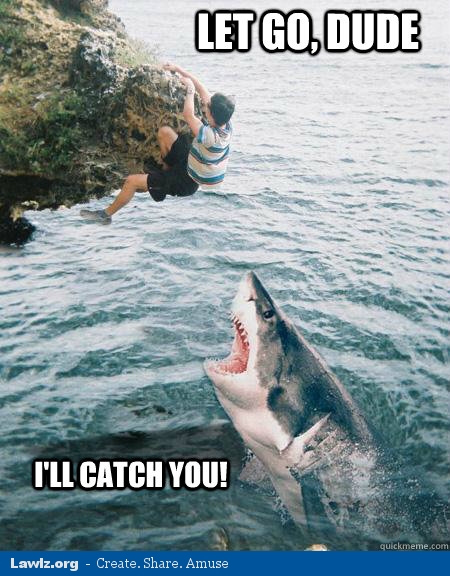 picture Shark Memes Funny complex