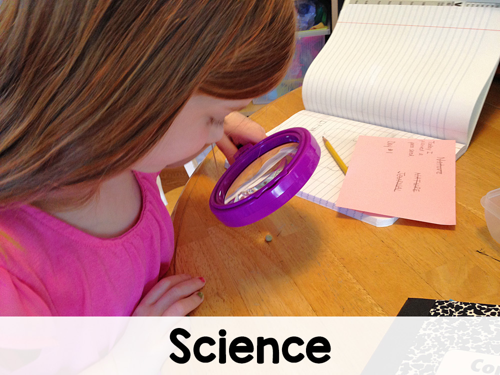 Fall Archives Mamas Learning Corner - High Resolution Landscape Photos for Desktop