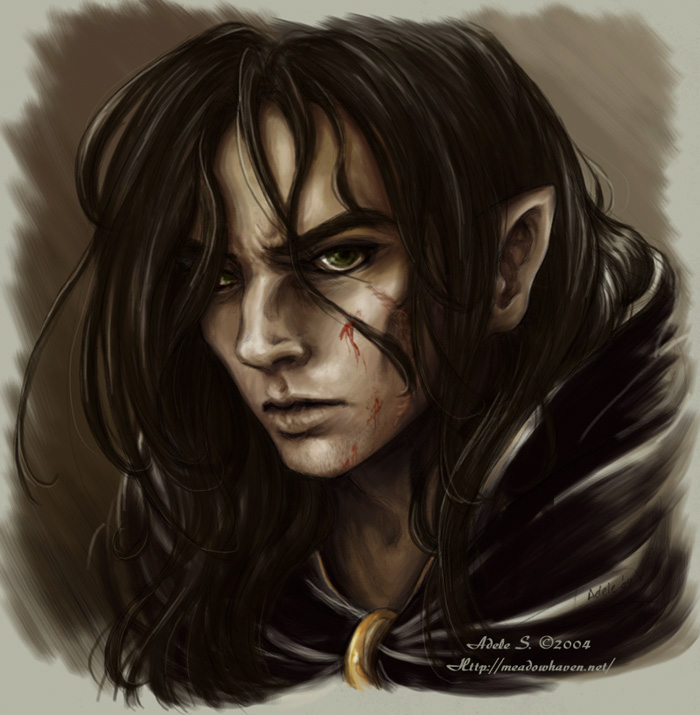 picture Black Hair Male Elf Art rebel meadowhaven