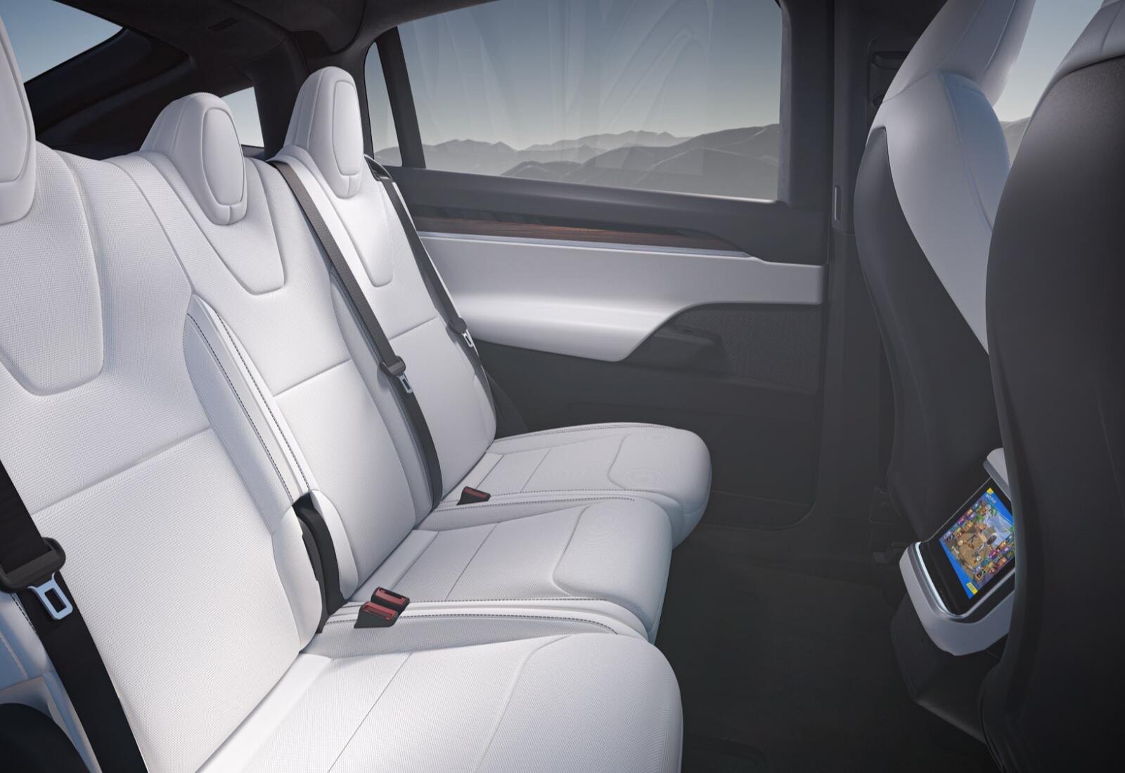 picture Tesla Model X 2021 mobiflip