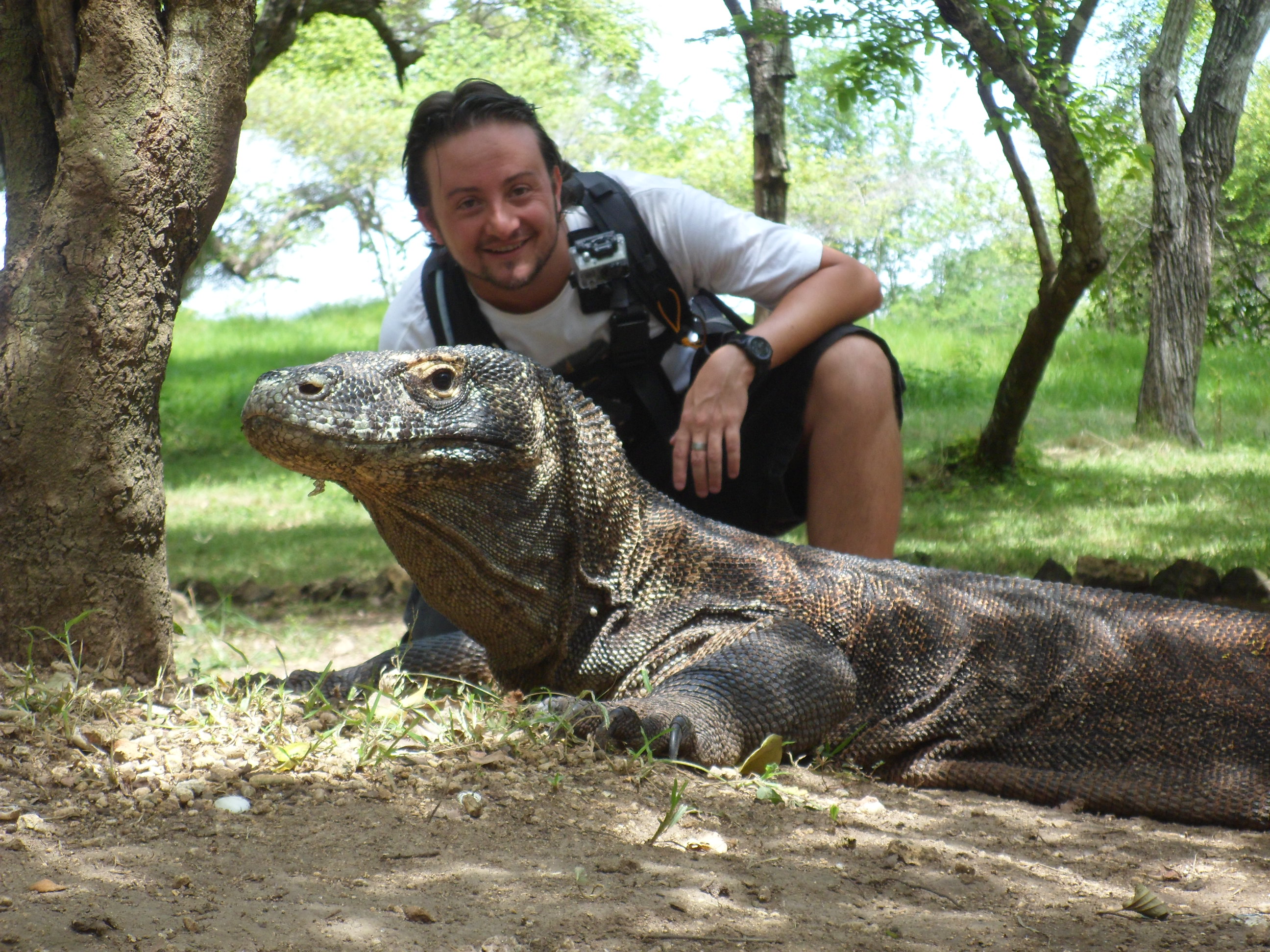 pics Dragao De Komodo Mordida meu encontro com os dragoes de komodo mochileiro das maravilhas