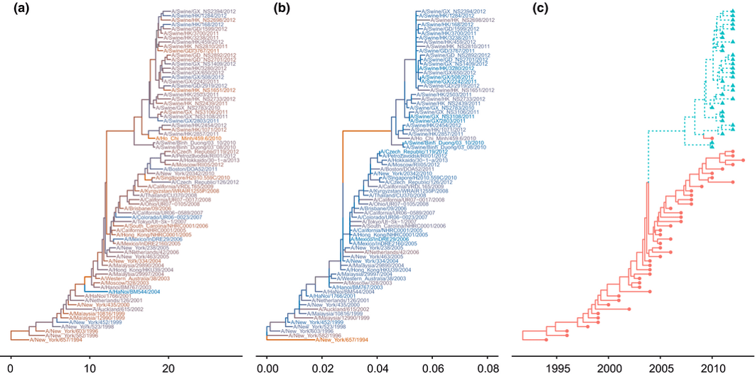 Reading Phylogenetic Trees Ppt Video Online Download
