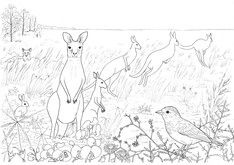 images Easy Grassland Ecosystem Drawing paperbark writer