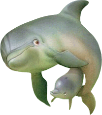 pics Animated Dolphin Clipart Gif pictures animations dolphin myspace cliparts