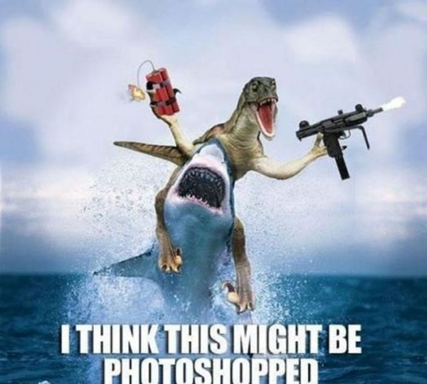 pix Shark Memes Funny what can the funniest shark memes on