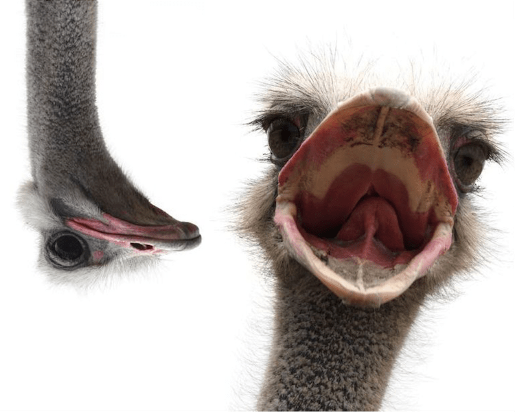 Auditors Archives The Squawk Point - Download Creative Light Texture | 8K