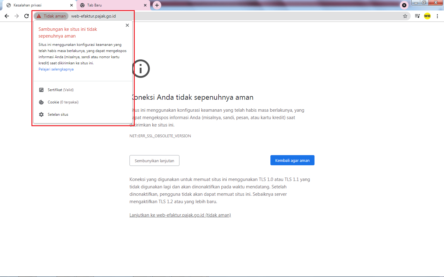 Faktur pajak masukan tidak muncul di web efaktur
