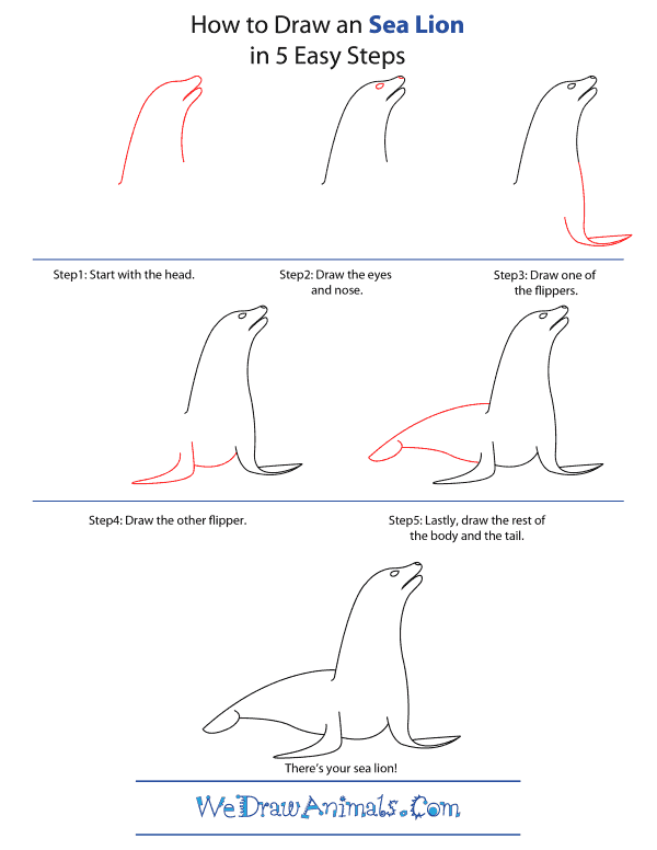 photo Easy Step By Step Sea Animal Drawings we draw animals