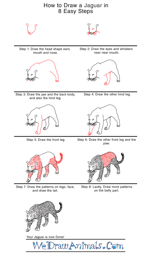 pics How To Draw A Jaguar Body how to draw a realistic jaguar