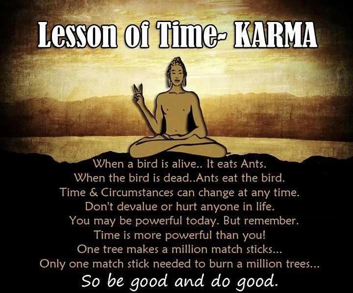 photo Karmic Lessons Quotes lesson of time karma when a bird is