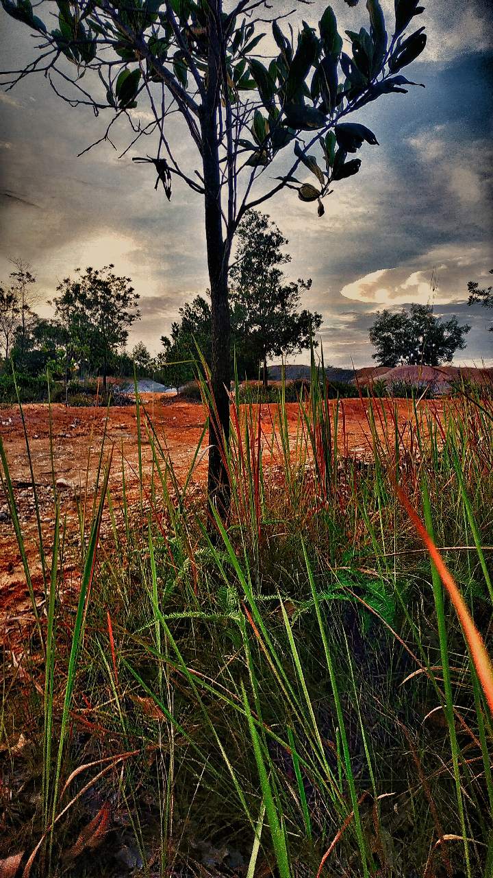 Ada sedikit kurva belajar untuk menggunakan aplikasi tetapi sebagian besar pengguna akan dapat mengambilnya dalam beberapa menit. Belajar Edit By Snapseed Membuat Hasil Foto Semakin Dramatis Bak Lukisan Shot Redminote5 Fotografi Mi Community Xiaomi