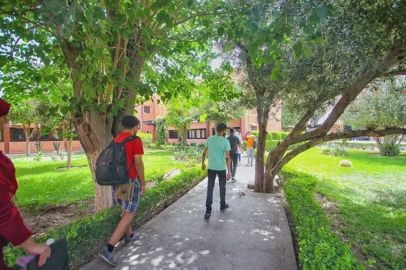 التعامل مع تطبيق روزيطا ستون يثير استياء طلبة الجامعات المغربية