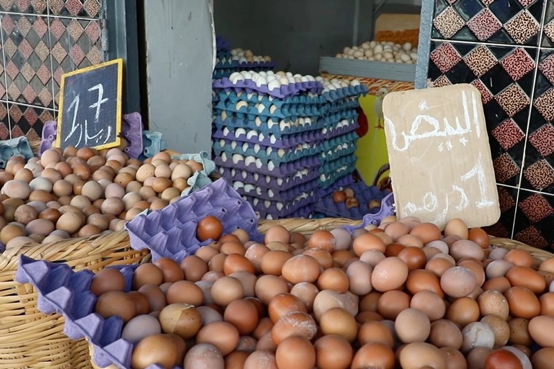 تراجع ملحوظ لأسعار البيض