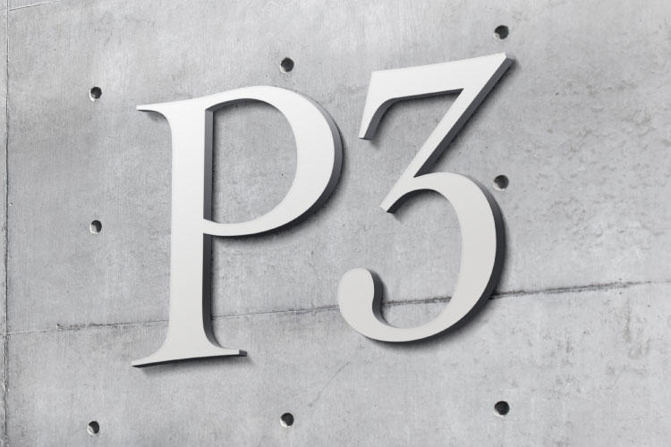 Usace Requests Information On P3 Delivery Of Civil Works