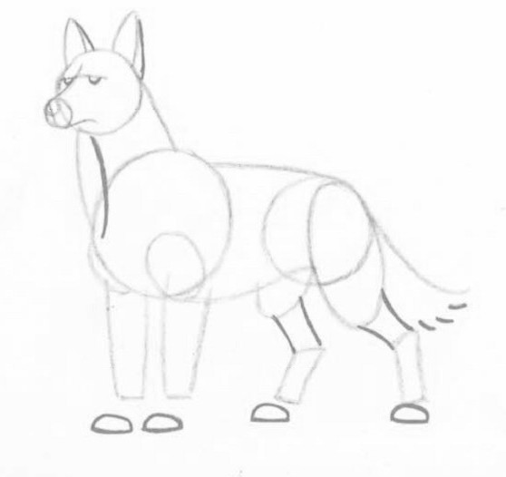как нарисовать морду волка