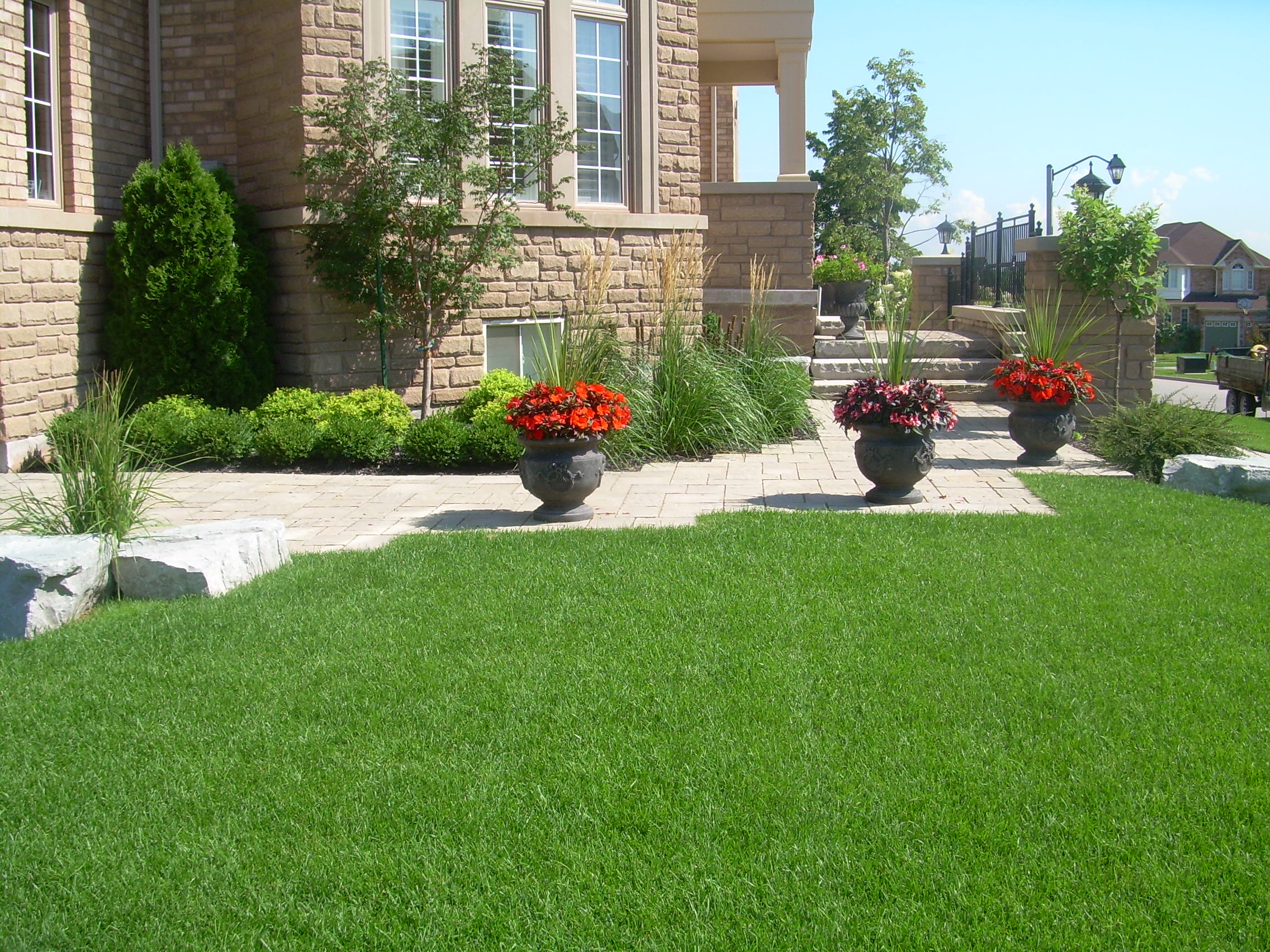 Soilscape - Download Gorgeous Gradient Illustration | 4K